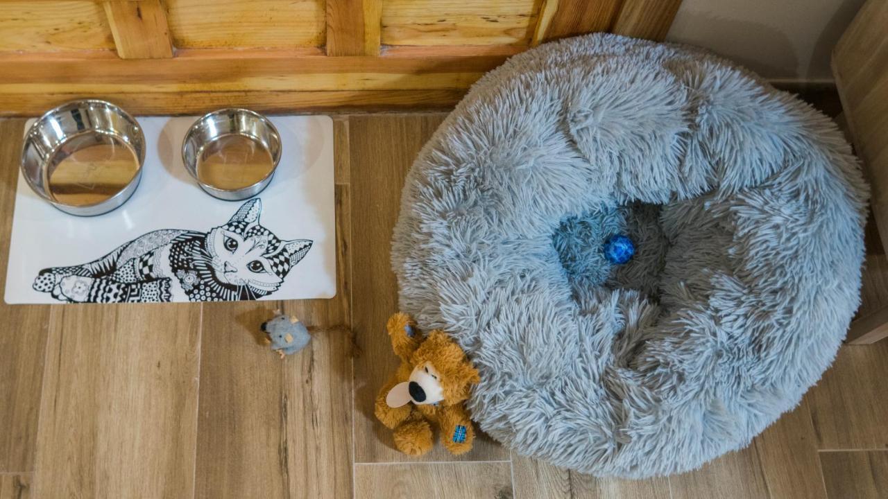 Apartamento Ruh Sara By Toledo Ap Eksteriør billede